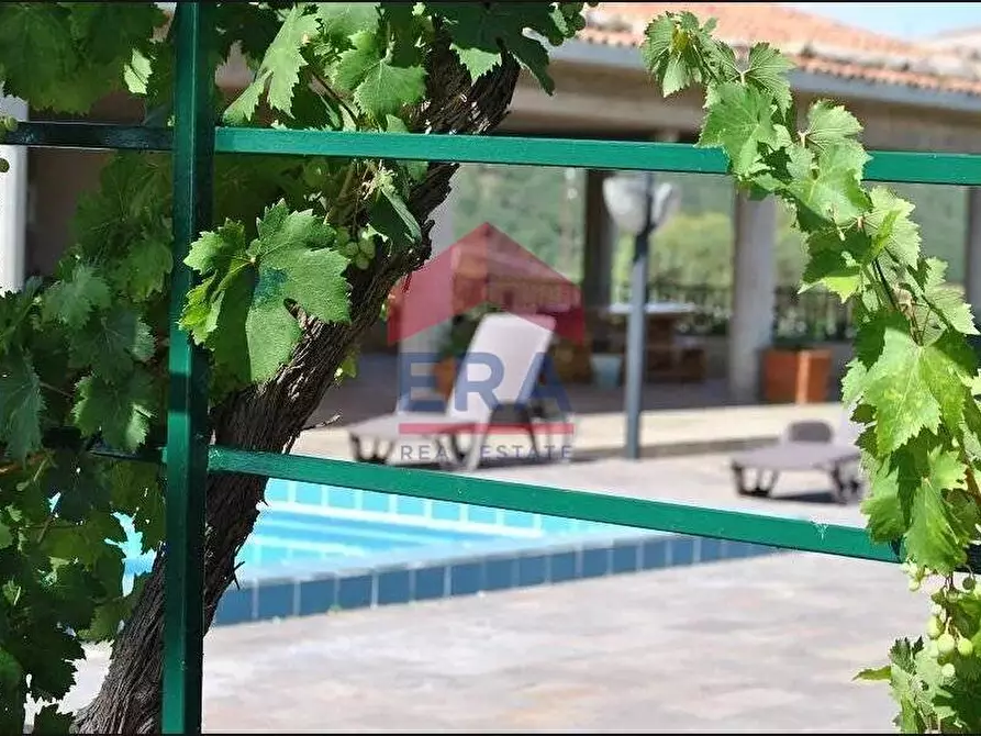 Immagine 92 di Agriturismo in vendita  in contrada portelle a Gangi