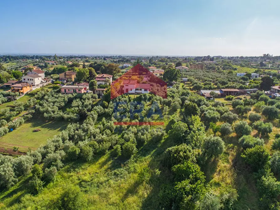 Immagine 9 di Villa in vendita  in Via  di Colle Perino a Velletri