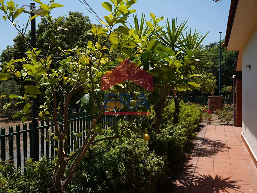 Immagine 11 di Villa in vendita  in via archimede 1 a Pedara