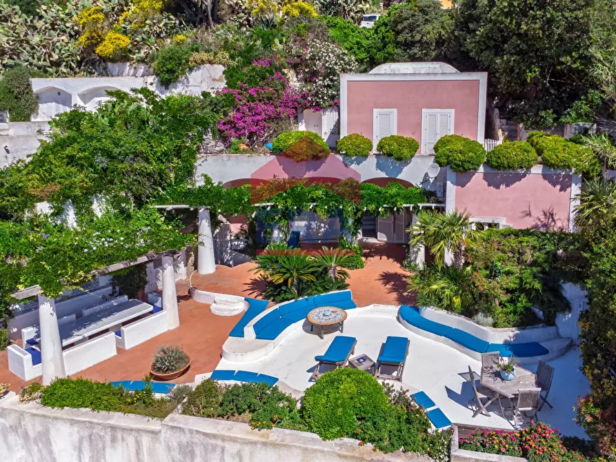Immagine 3 di Villa in vendita  in Via Giancos snc a Ponza