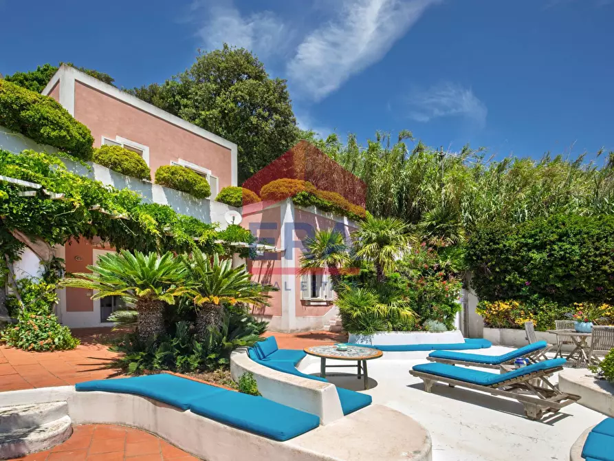 Immagine 10 di Villa in vendita  in Via Giancos snc a Ponza