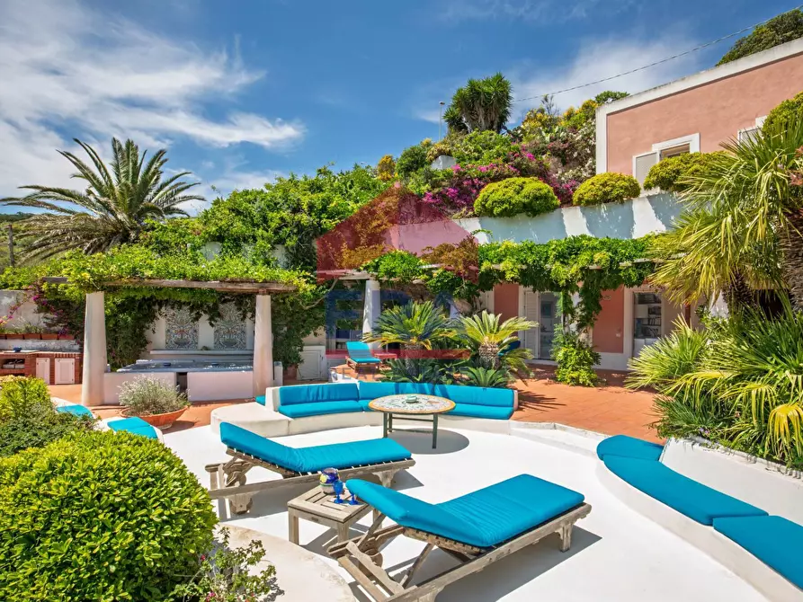 Immagine 9 di Villa in vendita  in Via Giancos snc a Ponza
