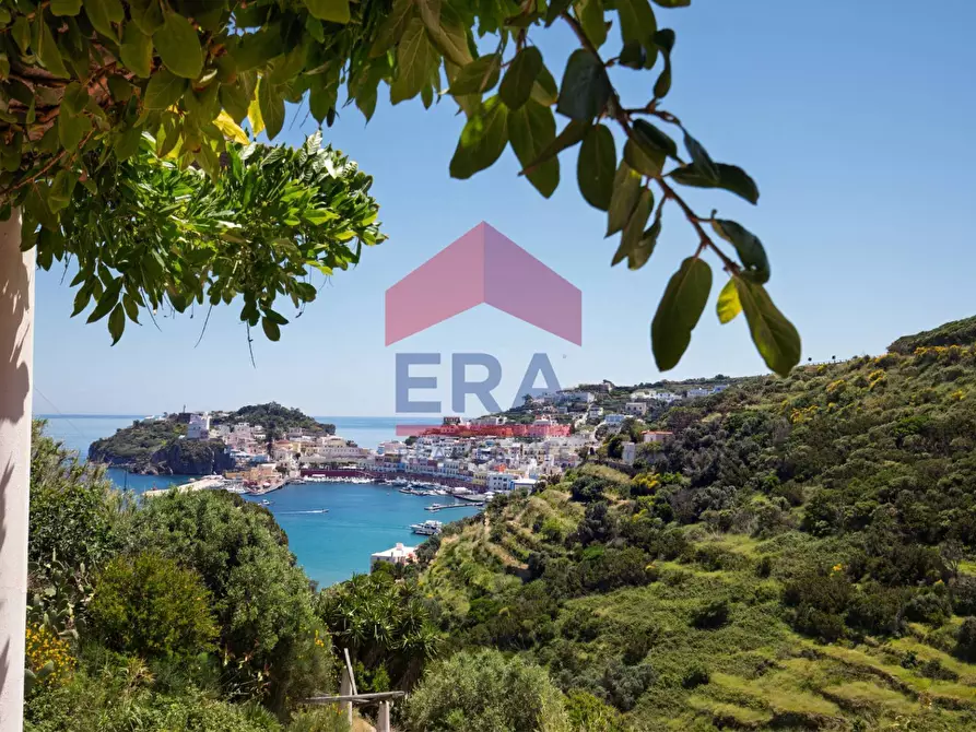 Immagine 13 di Villa in vendita  in Via Giancos snc a Ponza