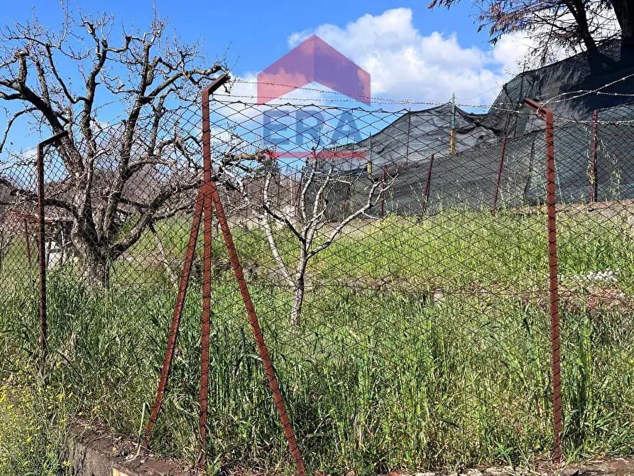Immagine 3 di Terreno agricolo in vendita  a Trecastagni