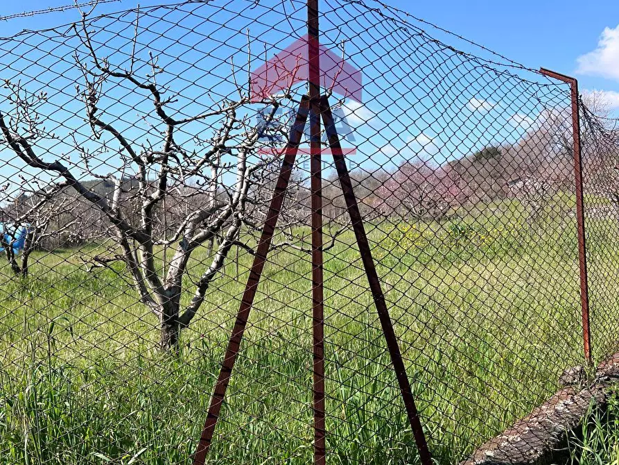 Immagine 4 di Terreno agricolo in vendita  a Trecastagni
