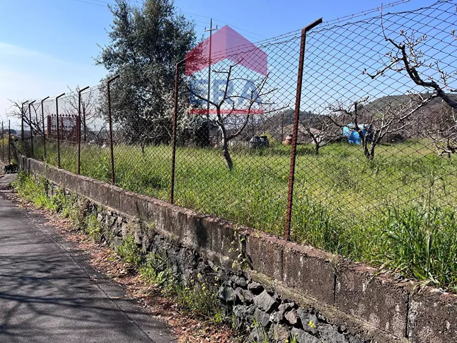 Immagine 5 di Terreno agricolo in vendita  a Trecastagni