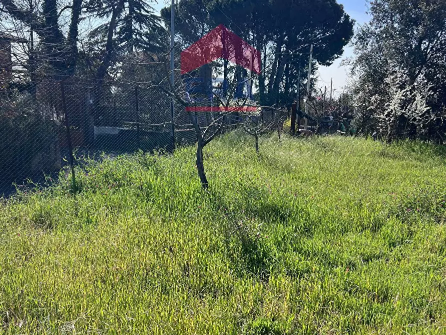 Immagine 6 di Terreno agricolo in vendita  a Trecastagni