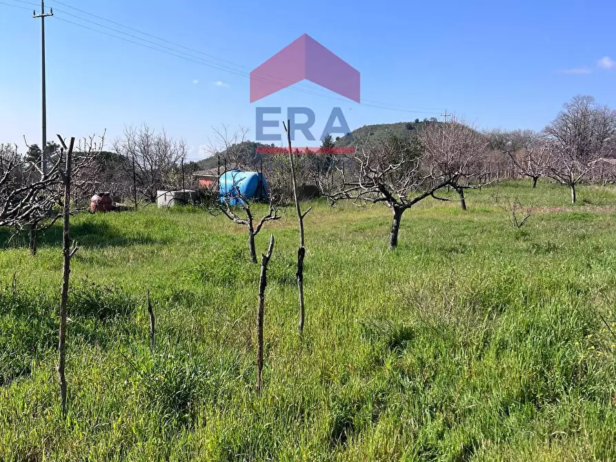 Immagine 1 di Terreno agricolo in vendita  a Trecastagni