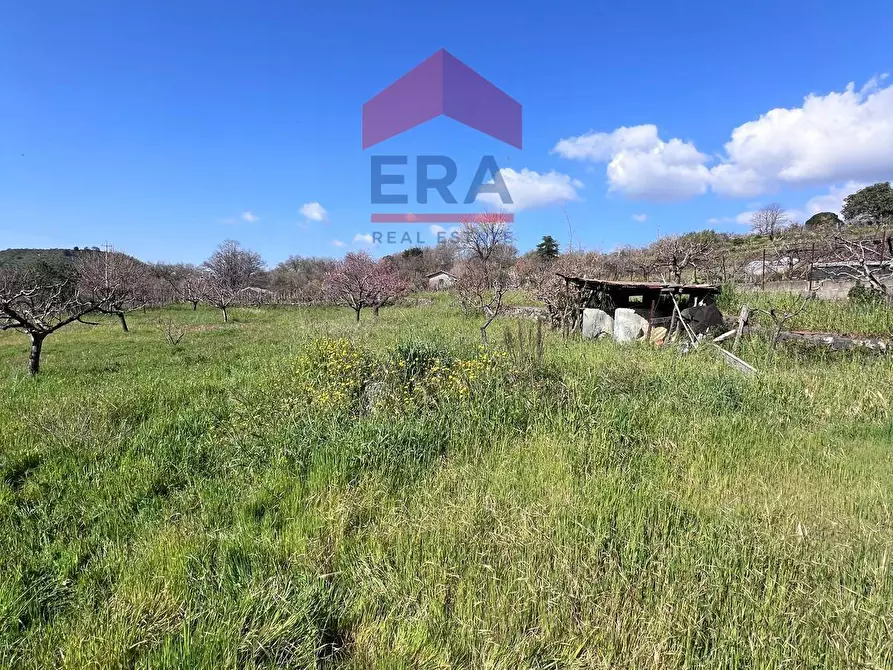 Immagine 8 di Terreno agricolo in vendita  a Trecastagni