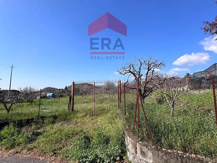 Immagine 9 di Terreno agricolo in vendita  a Trecastagni