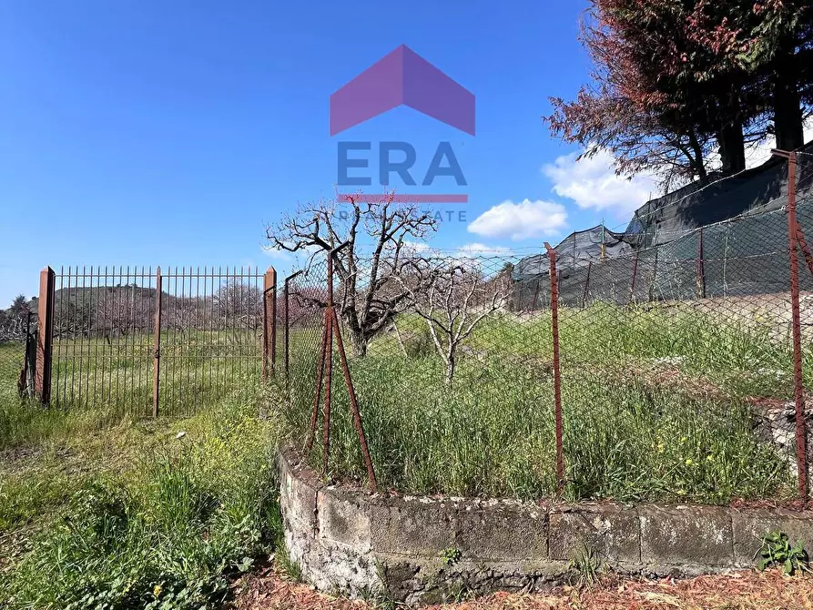 Immagine 10 di Terreno agricolo in vendita  a Trecastagni