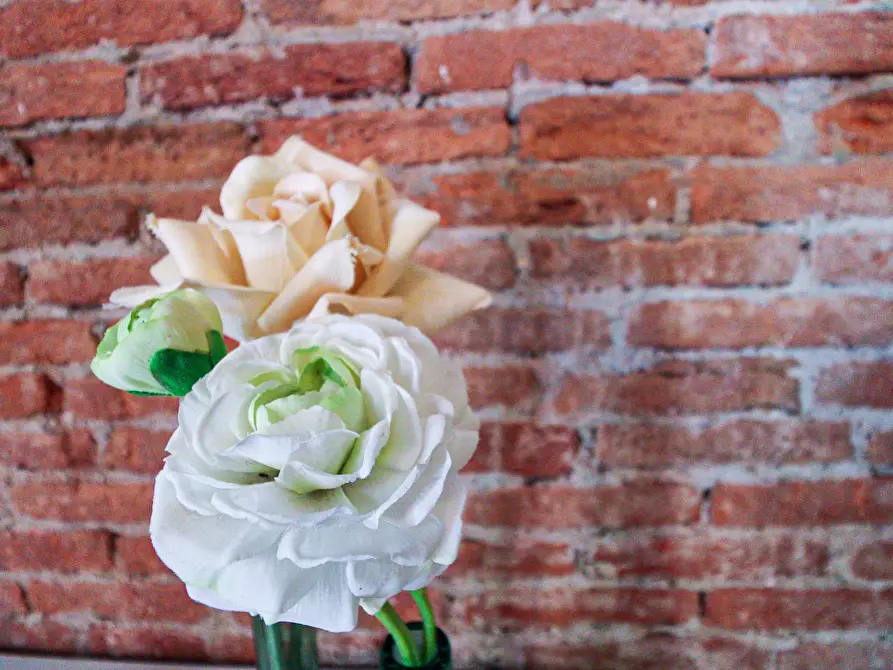 Immagine 7 di Appartamento in affitto  in Via Piccinini 8 a Stella