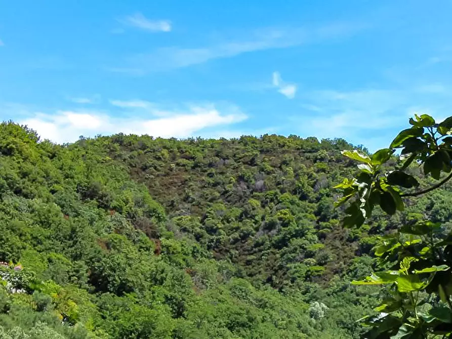 Immagine 36 di Villa in vendita  in Via Dei Siri 131 a Albisola Superiore