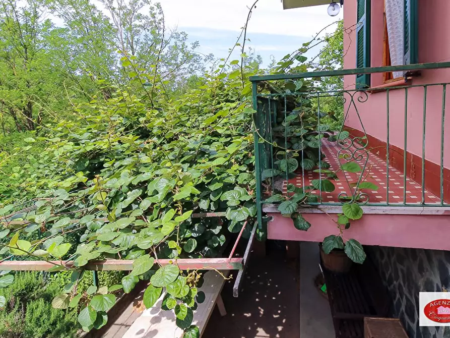 Immagine 16 di Villa in vendita  in Località Avilla 8 a Sassello