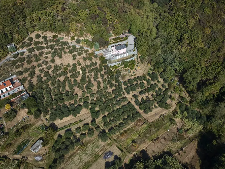 Immagine 37 di Villa in vendita  in Via Dei Siri 131 a Albisola Superiore