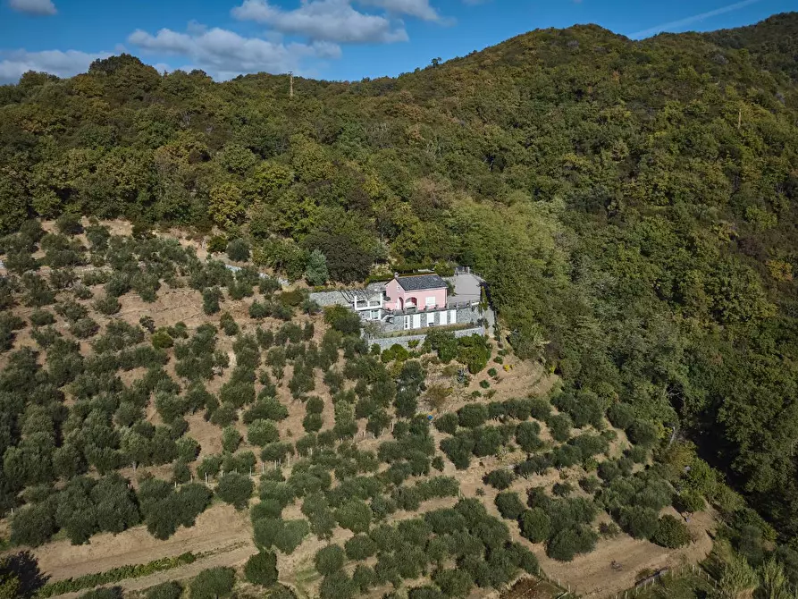 Immagine 40 di Villa in vendita  in Via Dei Siri 131 a Albisola Superiore