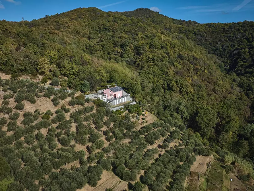 Immagine 41 di Villa in vendita  in Via Dei Siri 131 a Albisola Superiore