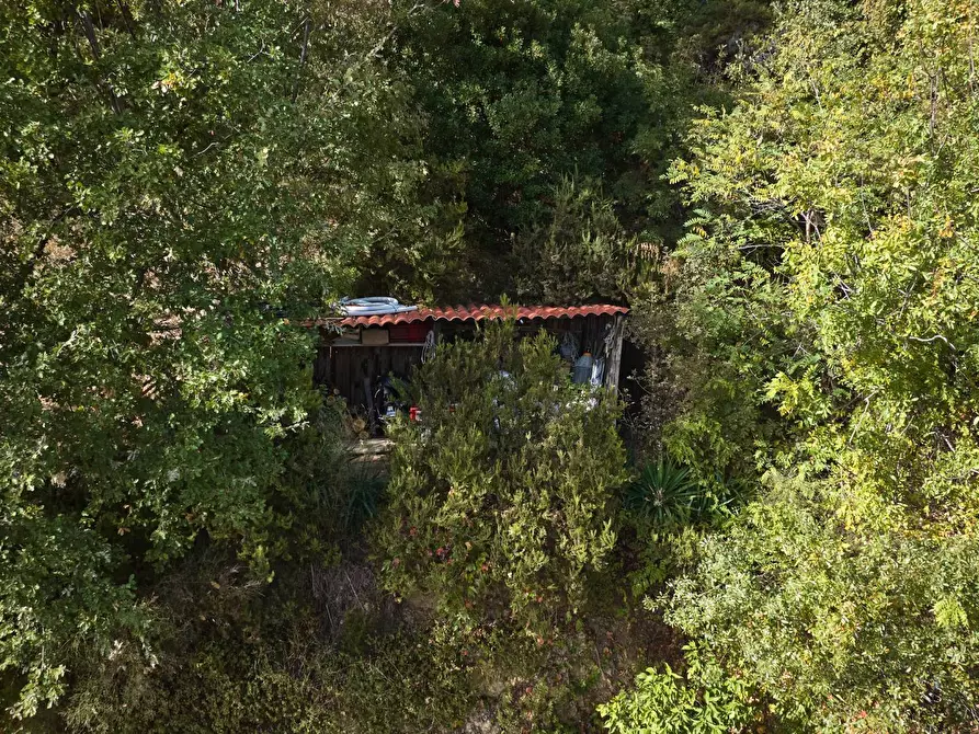 Immagine 60 di Villa in vendita  in Via Dei Siri 131 a Albisola Superiore