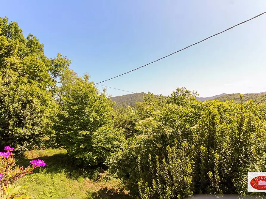 Immagine 25 di Casa semindipendente in vendita  in Loc. Rovieto Superiore 139 a Stella