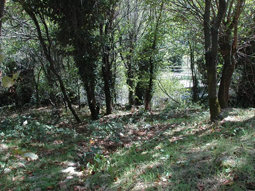 Immagine 36 di Casa indipendente in vendita  in Via Garibaldi a Belforte Monferrato