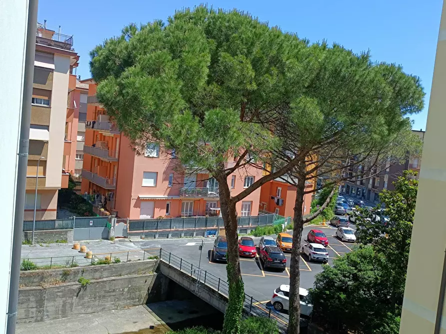 Immagine 16 di Appartamento in affitto  in Via Trieste 34 a Arenzano