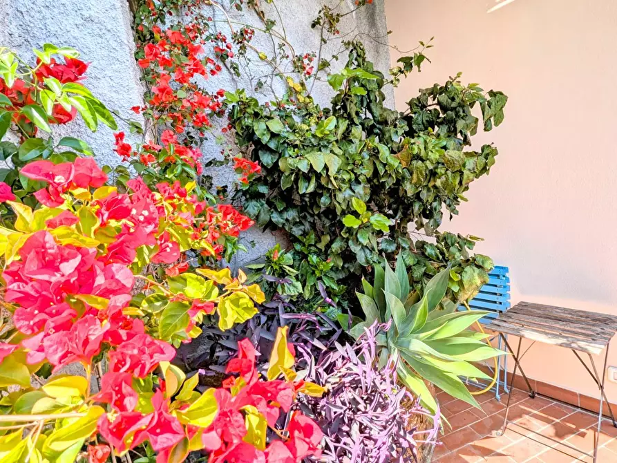 Immagine 6 di Appartamento in affitto  in Via della Costa 19 a Arenzano