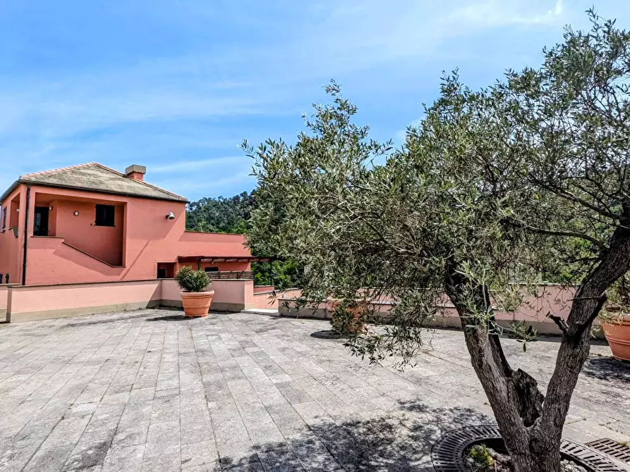 Immagine 2 di Appartamento in affitto  in Via al Golf 75 a Cogoleto