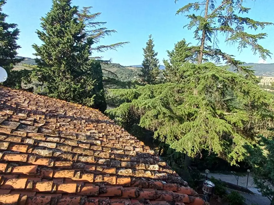 Immagine 21 di Appartamento in affitto  in Via di Canonica 37 a Sesto Fiorentino