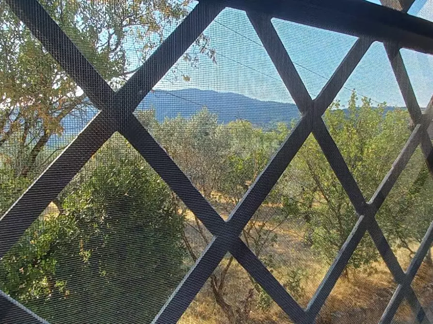 Immagine 22 di Appartamento in affitto  in Via di Canonica 37 a Sesto Fiorentino