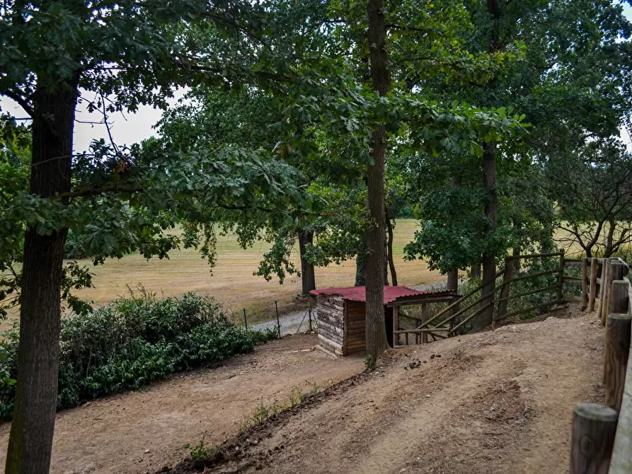 Immagine 39 di Villa in vendita  in Via Riva 100 a Andezeno