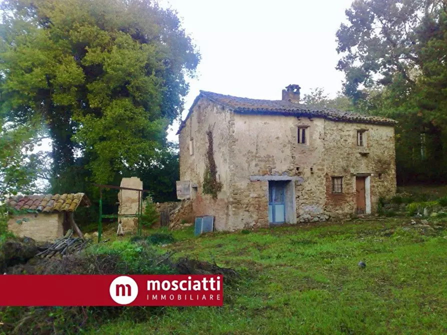 Immagine 1 di Casa indipendente in vendita  in Località Friggeto a Castelraimondo