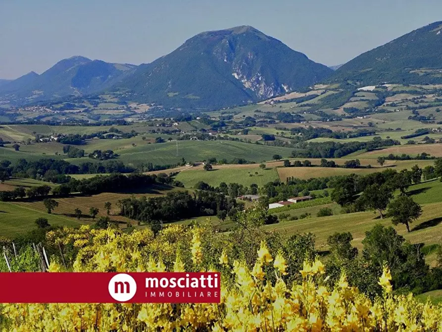 Immagine 4 di Casa indipendente in vendita  in Località Friggeto a Castelraimondo