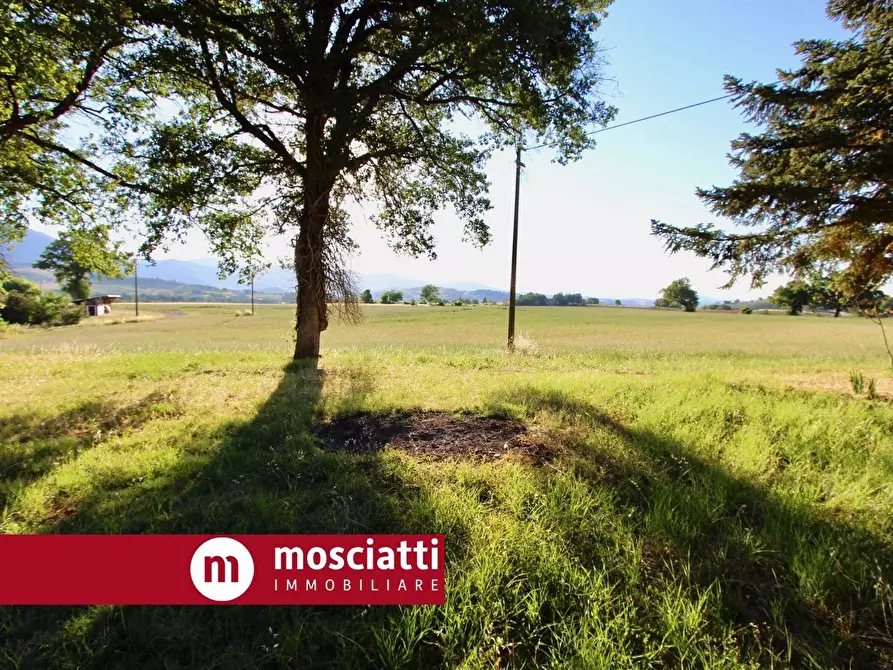 Immagine 14 di Casa indipendente in vendita  in Collepere a Esanatoglia