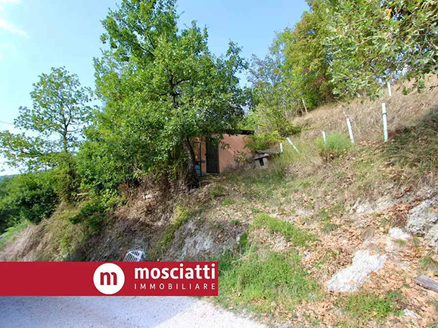 Immagine 2 di Terreno agricolo in vendita  in Braccano a Esanatoglia