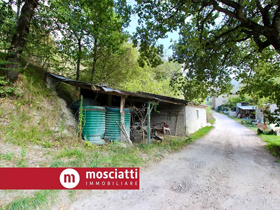 Immagine 3 di Terreno agricolo in vendita  in Braccano a Esanatoglia