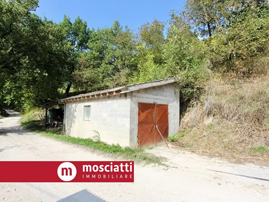 Immagine 4 di Terreno agricolo in vendita  in Braccano a Esanatoglia