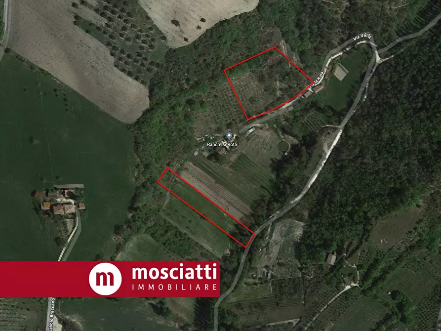 Immagine 6 di Terreno agricolo in vendita  in Braccano a Esanatoglia
