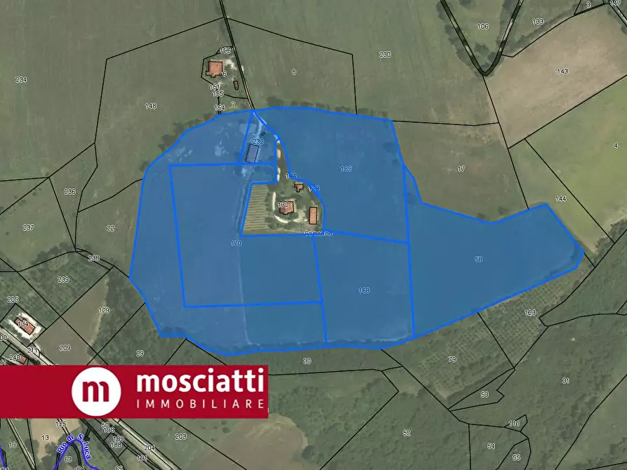 Immagine 6 di Terreno agricolo in vendita  in Località San Luca a Camerino