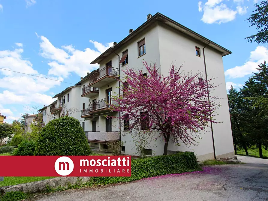 Immagine 2 di Appartamento in vendita  in Via Madonna Dei Pantani 6 a Esanatoglia