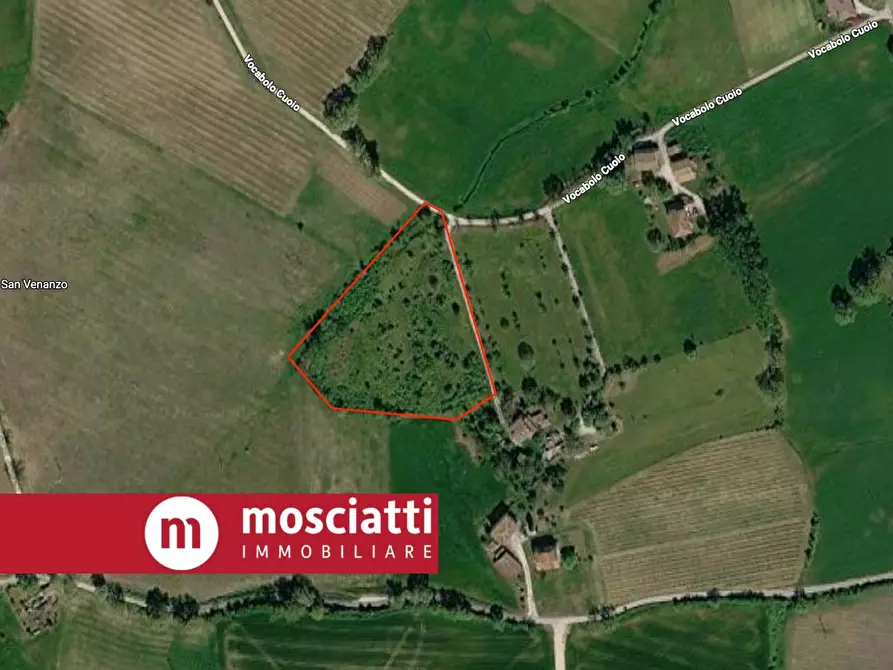 Immagine 2 di Terreno residenziale in vendita  in Località Cuoio a Esanatoglia
