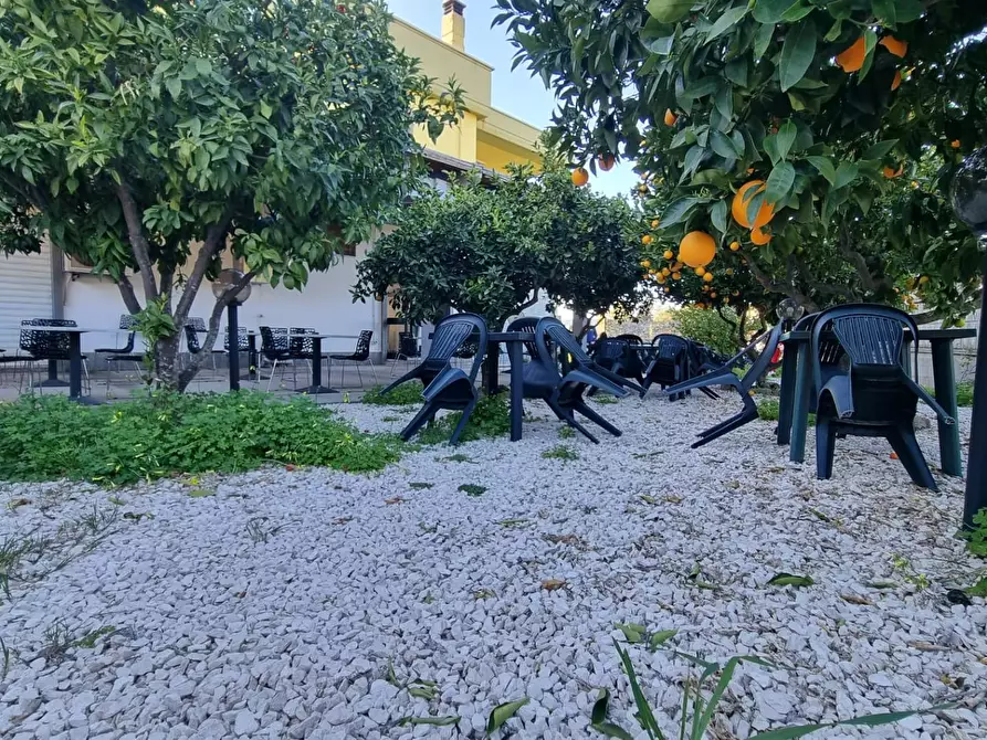 Immagine 18 di Attività commerciale in vendita  in Via Roma a Gonnesa