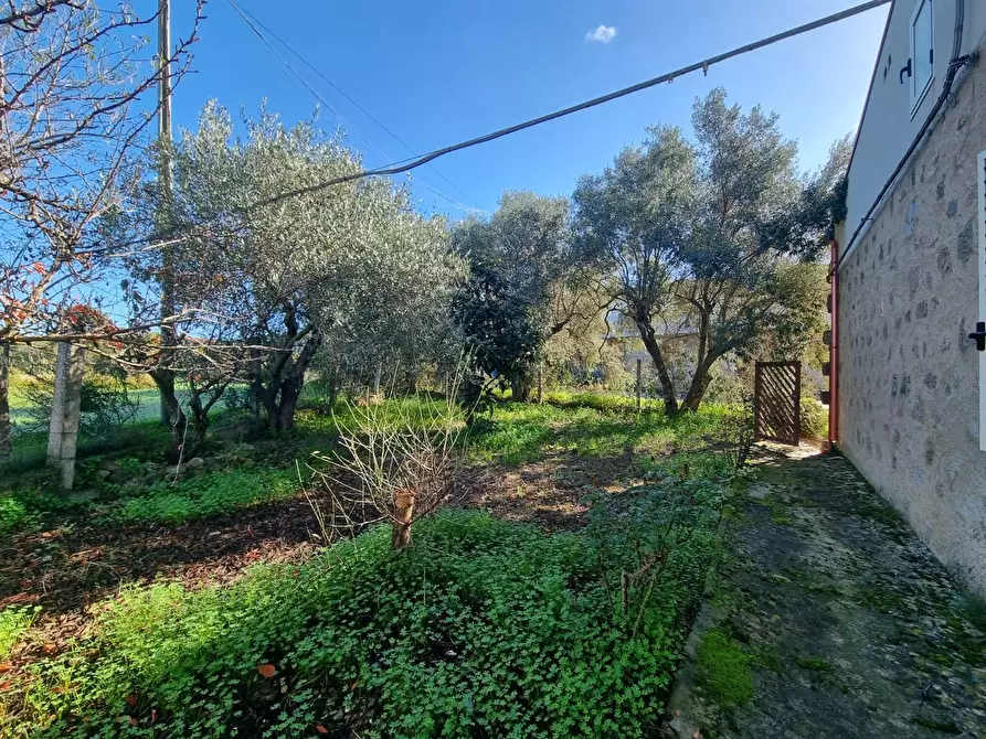 Immagine 17 di Casa indipendente in vendita  in Via Grazia Deledda a Gonnesa