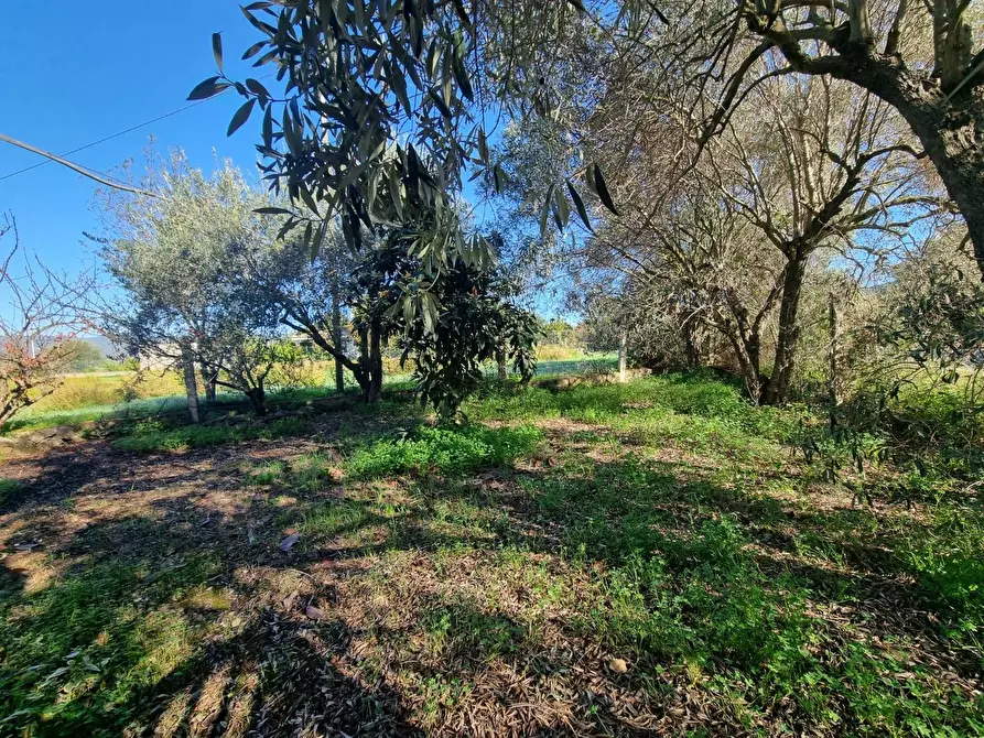 Immagine 18 di Casa indipendente in vendita  in Via Grazia Deledda a Gonnesa
