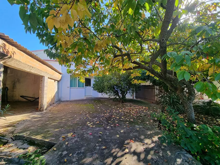 Immagine 20 di Casa indipendente in vendita  in Via Grazia Deledda a Gonnesa