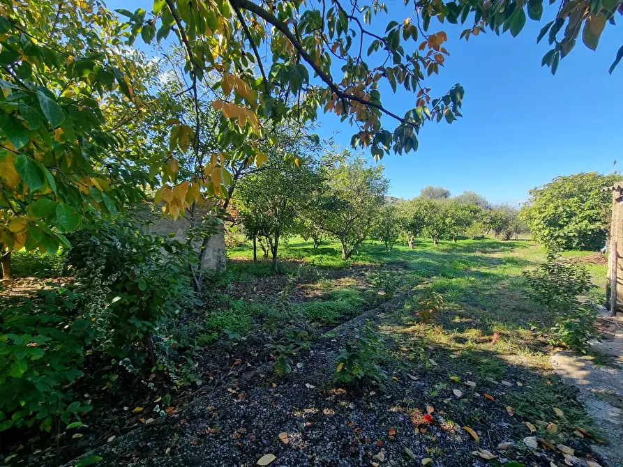 Immagine 24 di Casa indipendente in vendita  in Via Grazia Deledda a Gonnesa