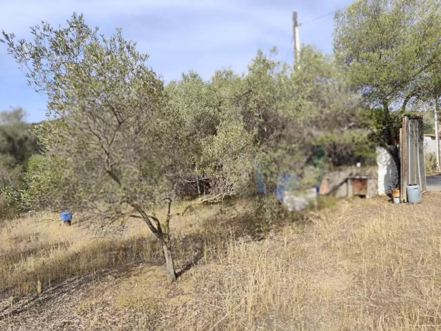 Immagine 1 di Terreno residenziale in vendita  in Località Su Tremini a Monserrato