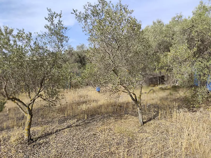 Immagine 2 di Terreno residenziale in vendita  in Località Su Tremini a Monserrato