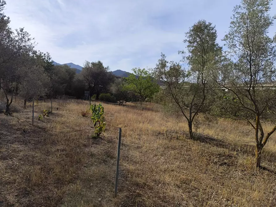 Immagine 4 di Terreno residenziale in vendita  in Località Su Tremini a Monserrato