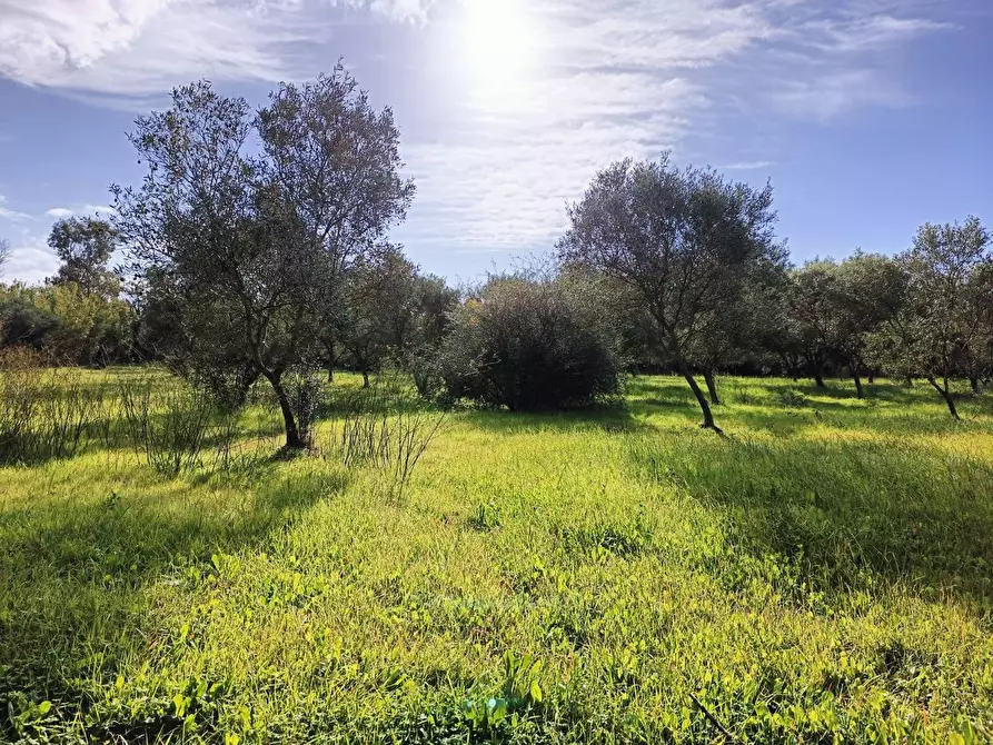 Immagine 2 di Casa indipendente in vendita  in Località Nuracesus a Nuraminis