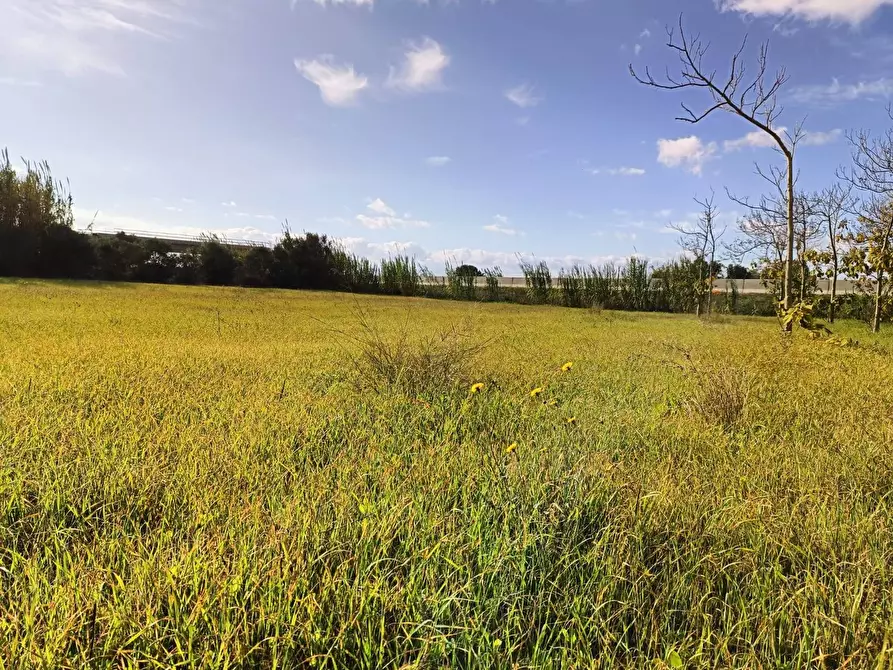 Immagine 3 di Casa indipendente in vendita  in Località Nuracesus a Nuraminis